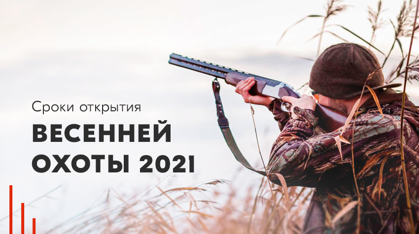 Сроки весенней охоты 2024 в новосибирской области. Даты охоты 2021. Сроки охоты 2021. Сроки открытия весенней охоты. Сроки открытия весенней охоты 2021.